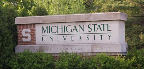 msu ultratime|msu rhs portal.